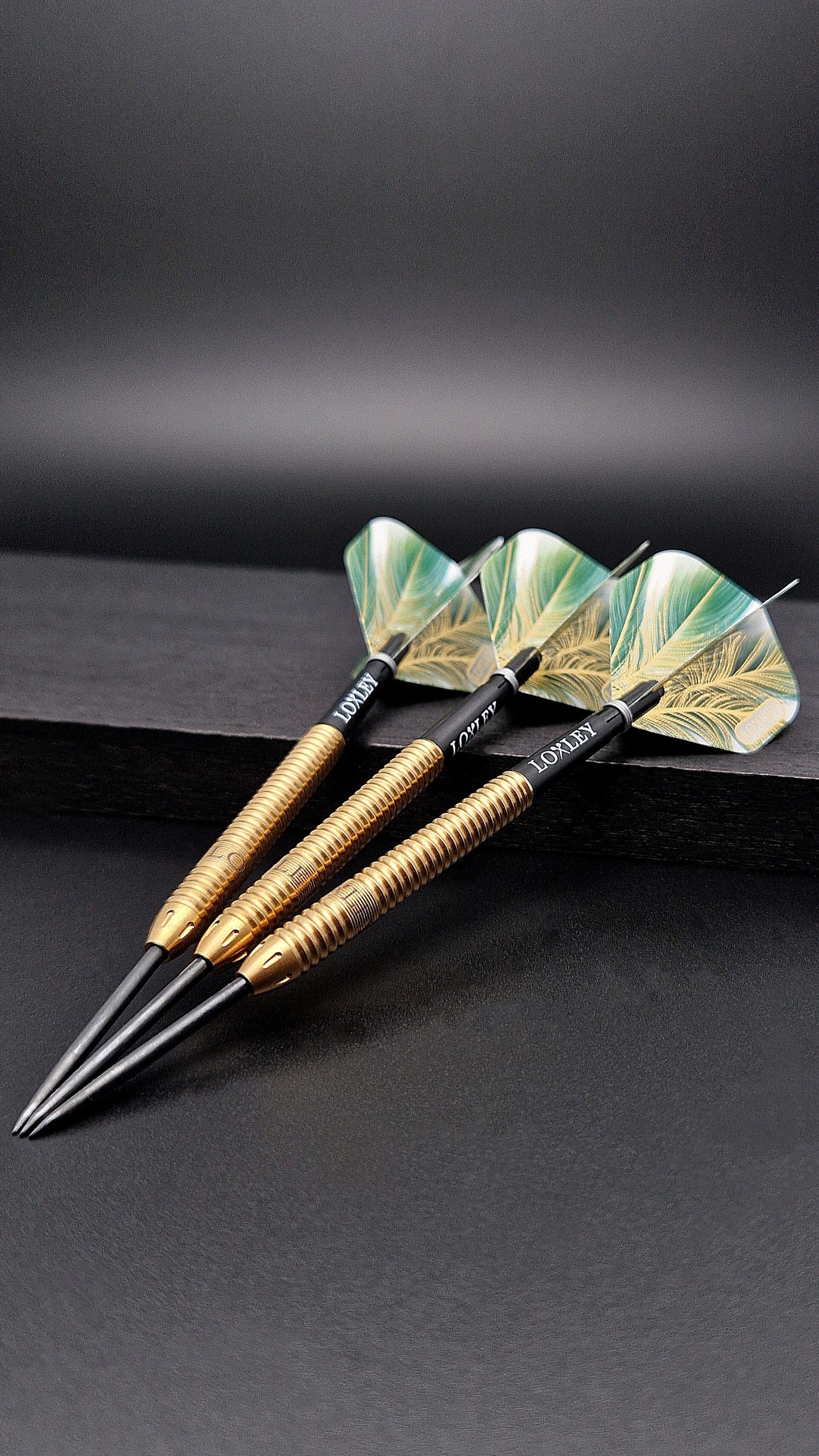 Loxley - The Turtle Darts